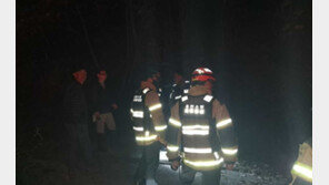 버섯 채취 나선 60대 홍천 야산서 숨진 채 발견