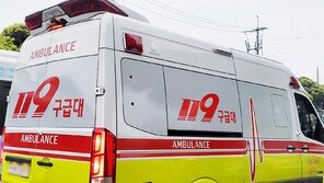 “남편이 집에 안와요” 제주서 70대 사다리 추락사 추정