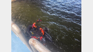 군산 금강하굿둑서 보수 작업 40대 물에 빠져 숨져