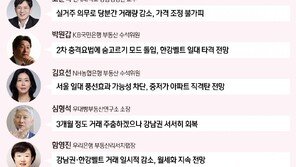 서울 전역·경기 12곳 ‘규제지역’ 초강수…전문가 “단기적 처방”