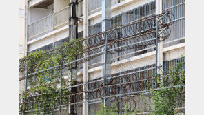 캄보디아 납치·감금 신고 143건…수도권 ‘69건’ 최다