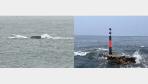 “저거 혹시…?” 동해 최북단에 잠수함 출현 신고 잇따른 이유