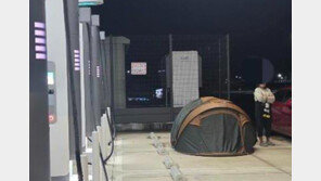 양양 전기차 충전소에 텐트 치고 개 풀어놓은 민폐女 [e글e글]