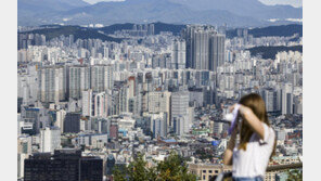 현금 5억 들고와 “평수 상관없다”…막판 갭투자 문의 쇄도