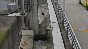 제트스키 타다 급류에 표류한 30대…소방 도움으로 무사 구조