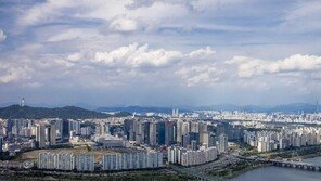 “토허제 확대前 전세 끼고 매입 원해” 문의 쇄도