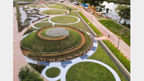 “애기단풍으로 물든 장성 황룡강으로 가을 나들이 어때요”