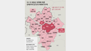 서울-분당-과천 갭투자 못한다
