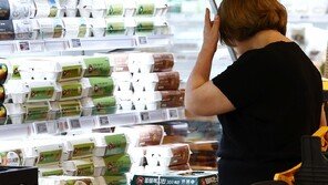 의식주 물가 5년간 연평균 4.6% 상승…주거비 5.5% 급등