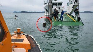 보령 앞바다 ‘유령 말뚝’ 미스터리…지나는 낚싯배 날벼락