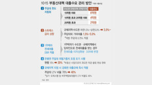 “규제우회·풍선효과 막아라”…금융당국, 대출관리 전방위 점검