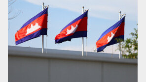 실용외교 허점 노출한 정부…소 잃고 외양간 고치는 캄보디아 사태