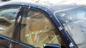 새 배설물 타깃, 車 색상별로 다르다…가장 피해 큰 색상은?