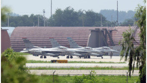 “사드 자료 빼내려 했다”…중국인 스파이, 징역 5년 실형