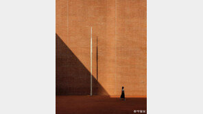 [고양이 눈]작품이 되는 순간