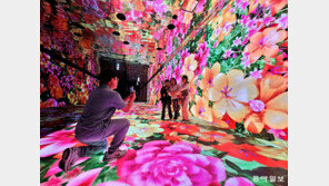 꽃으로 가득 찬 빛의 터널서 한장 ‘찰칵’