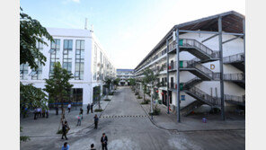 [단독]“한국청년 시신 두달에 1구꼴 실려와…몇년새 눈에 띄게 늘어”