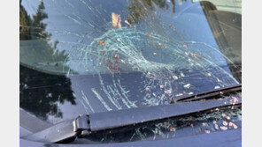 “차 유리창에 쾅”…마른하늘에 떨어진 물고기