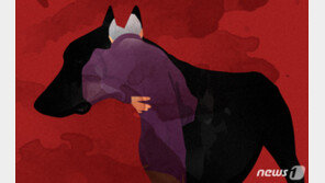 80대 할머니, 기르던 핏불테리어 2마리 싸움 말리다 목 물려 사망