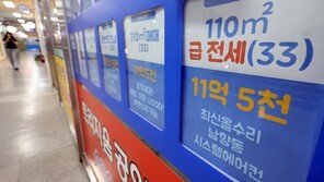 최대 9년 거주 ‘더 센 임대차법’ 추진…전세시장 위축 우려