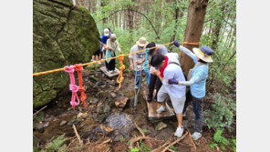 산림이 주는 회복의 힘, 숲노리누리협동조합 ‘녹색자금 숲체험교육사업’ 수행