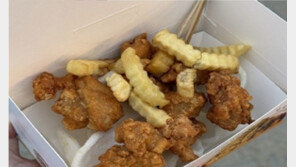 “이게 1만원?”…바가지 닭강정 푸드트럭, 진주유등축제서 퇴출