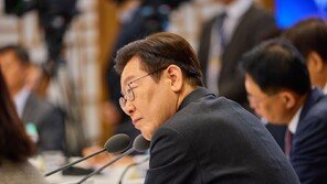 李대통령 “동남아 불법 구인광고 긴급 삭제” 지시