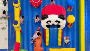 [고양이 눈]“마음껏 뛰어 놀아요”