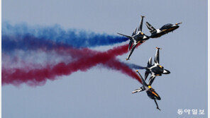 가을 하늘 누비는 블랙이글스