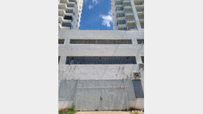 “경찰도 못 건드려” 상원의원 소유 관광단지서 대놓고 ‘온라인 사기’