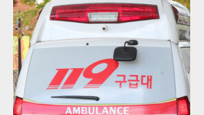 “하체운동해서…집에 데려다 달라” 119 부른 황당 민원男