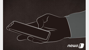 8만원 중국산 폰 당근서 60만원에 판 50대 벌금 300만원