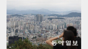 서울 ‘갭투자’ 주력 세대는 3040… 역대급 규제에 매수 심리 꺾일까