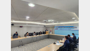 충남도, 멸종위기 야생동물 1급 점박이물범 보호 사업계획 수립