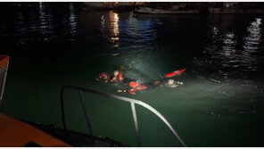 새벽에 통화 중 바다 추락한 10대…낚시객 신고로 구사일생