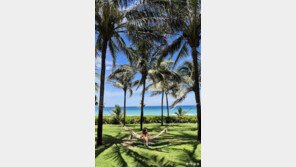 [고양이 눈]여름의 추억