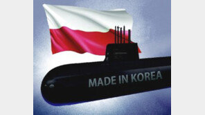 폴란드 ‘범고래’ 프로젝트에 도전장 낸 K-잠수함[횡설수설/신광영]