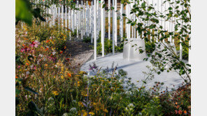 영국 저택에 피어난 한국 정원의 속삭임 [김선미의 시크릿가든] 