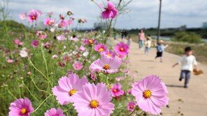 패딩 꺼내게 한 가을 한파…설악 -0.8도, 파주 2.4도 올가을 최저