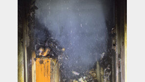 “라이터로 벌레 잡다가”…불 낸 20대 여성, 9명 중경상