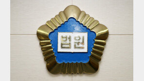 번호판 영치되자 ‘2만원짜리 가짜 번호판’ 단 유학생 징역형 집유