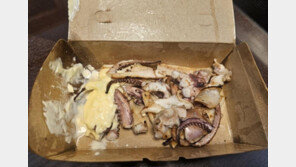 제주도 이번엔 ‘찌꺼기 오징어’…“먹다 만 거 줬나” 관광객 분노