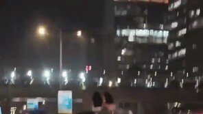 “대체 뭔 생각인 거지?” 누리꾼 혀 내두른 인도 도로위 진풍경