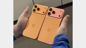 “179만원 아이폰17이 왜 이래”…오렌지색→ 핑크색 변색 논란