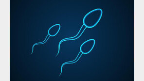 남성 나이 많을수록 정자에 ‘해로운 유전자’ 늘어난다