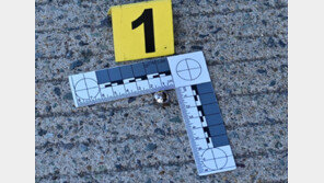 전북 부안서 ‘직경 7㎜’ 쇠구슬 발사…카페·車유리 와장창