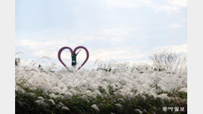 [포토에세이]가을이 번진다