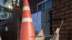 [고양이 눈]건재한 ‘파수꾼’