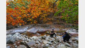 무주 구천동 단풍길 걸으며 가을에 빠져볼까