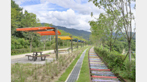 원주 폐철도 11.3㎞의 변신…치악산 바람길숲 23일 전구간 개통